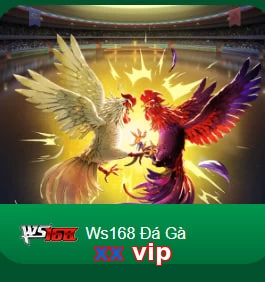 xx vip